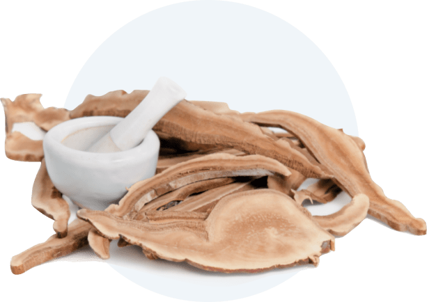Reishi and Cordyceps mushrooms